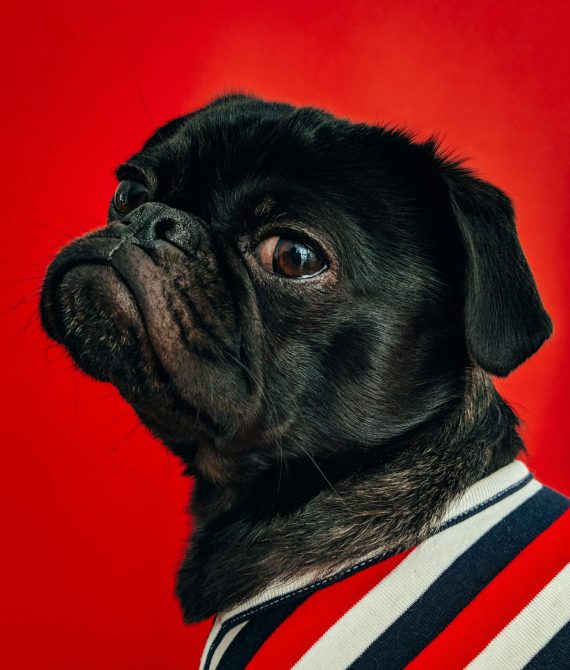 charlesdeluvio-DziZIYOGAHc-unsplash Photo by charlesdeluvio on Unsplash
